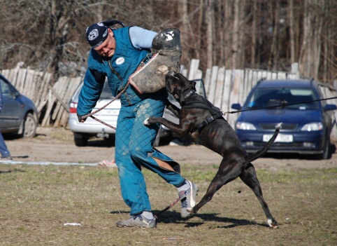 Training in Estonia 30.3 - 1.4. 2007